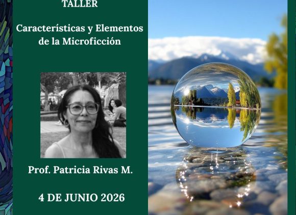 Características y Elementos de la Microficción